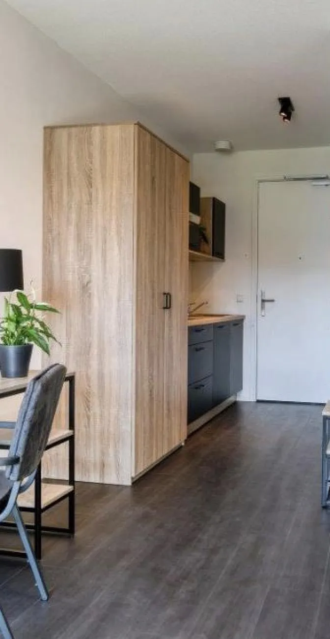 Geplaatste keuken met houten hoge kast in een appartement